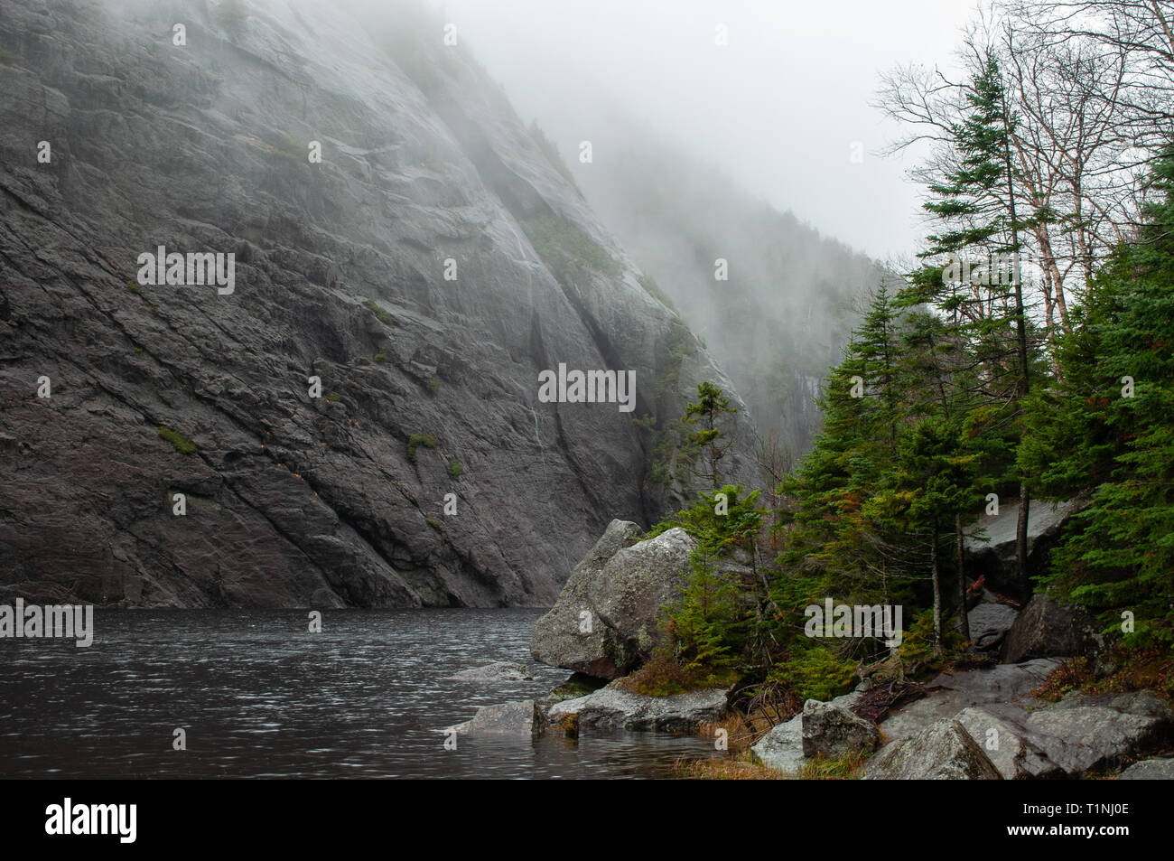 Jour brumeux à Avalanche Lake dans la région sauvage des hauts sommets de l'Adirondack State Park dans l'État de New York Banque D'Images