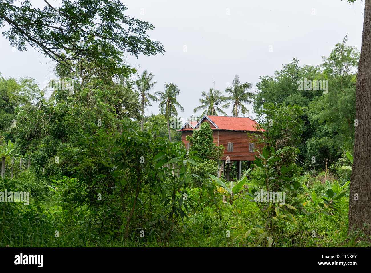 Maisons traditionnelles sur pilotis dans la campagne cambodgienne près de Angkor Wat Banque D'Images