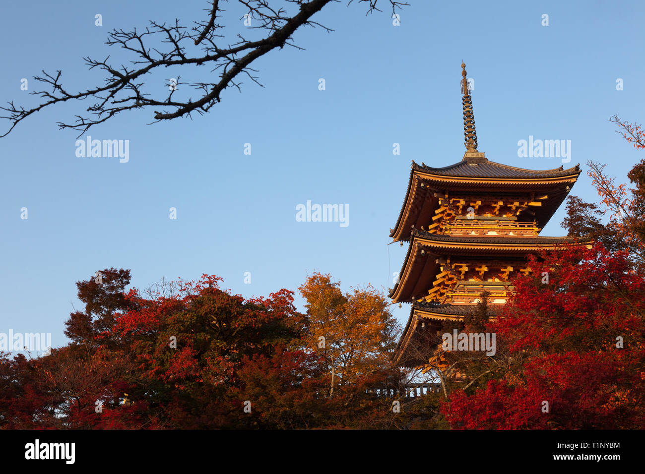 Coucher du soleil d'automne frappe le Pagdoa à trois niveaux, le Kiyomizu-dera, temple bouddhiste, Kyoto. Banque D'Images