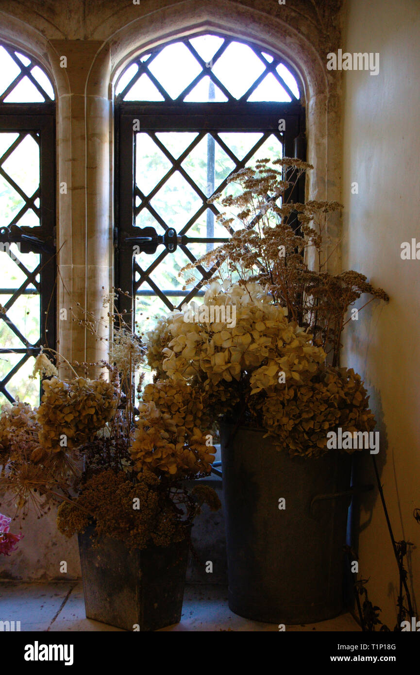 Fleurs sèches en face d'une fenêtre d'antiquités en Angleterre. Manor, terrain maison de style. Banque D'Images