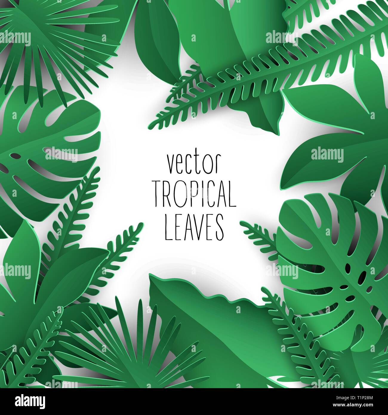 Les feuilles tropicales vector collection avec ombres sur fond blanc. plus d'informations pour les cartes d'été tropical et des bannières. Illustration de Vecteur