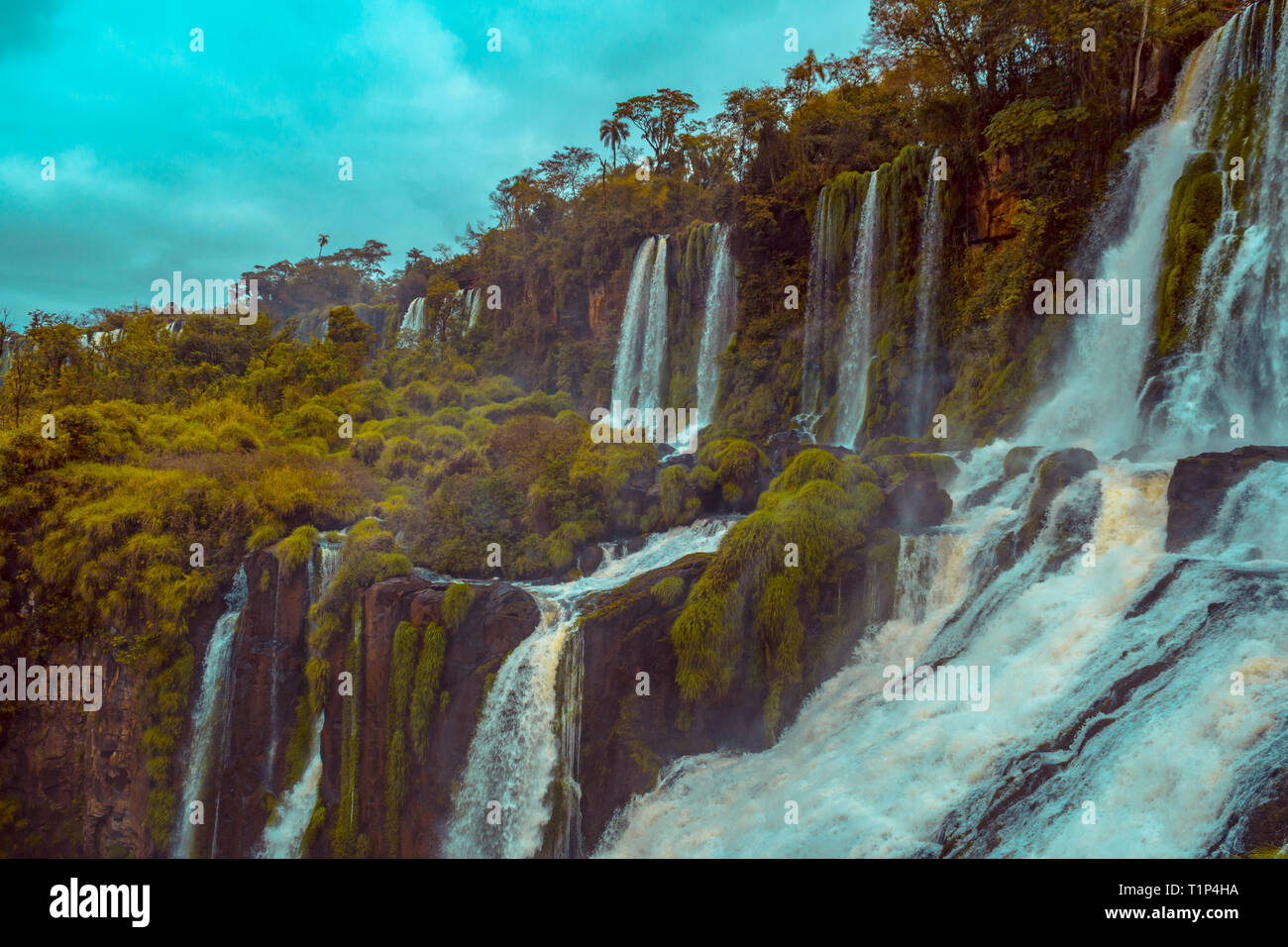 Chutes d'Iguazú sont les cascades de la rivière Iguazu à la frontière de la province argentine de Misiones et de l'état brésilien du Paraná. Banque D'Images
