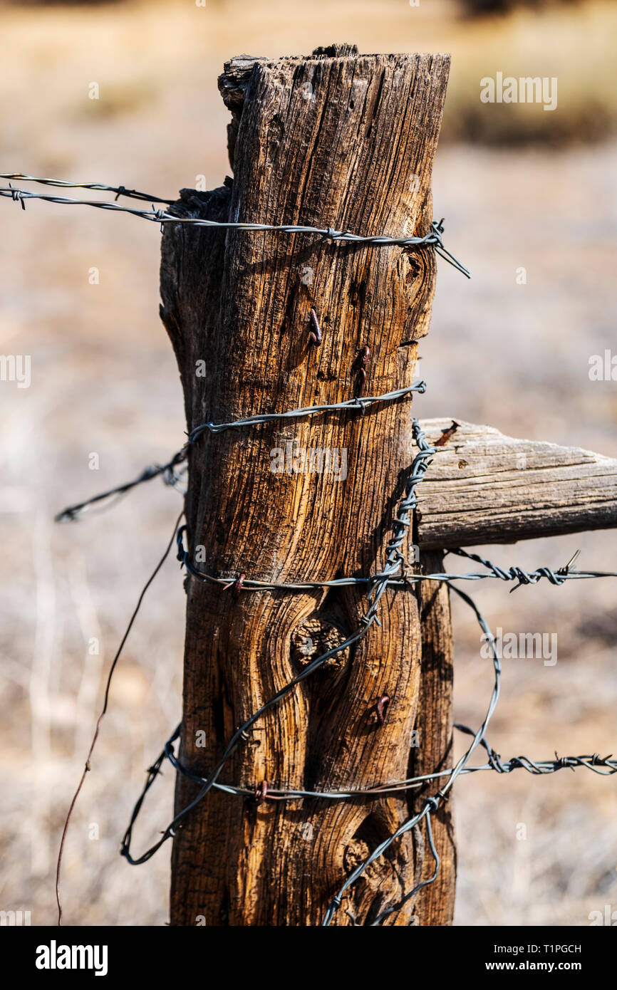 Close-up de barbelés & weathered wooden fence post ; ranch dans le centre du Colorado, USA Banque D'Images