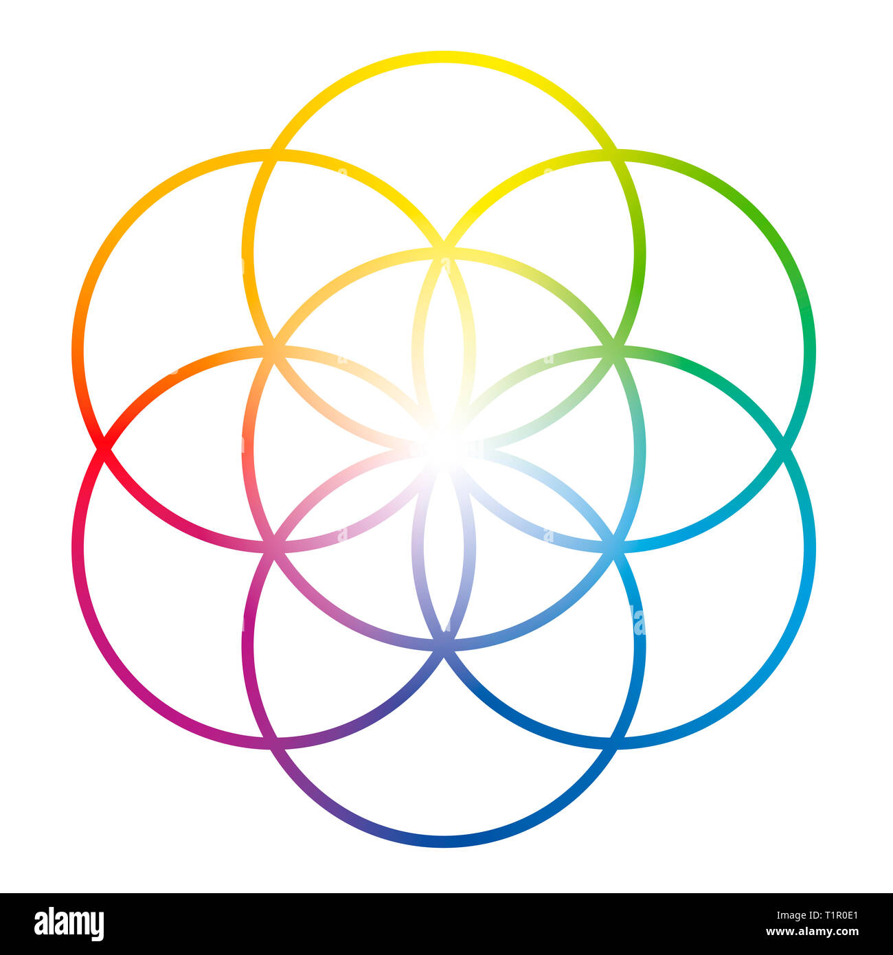 De couleur arc-en-semence de vie. Précurseur de Fleur de vie symbole. La figure géométrique unique, composée de sept cercles se chevauchant de même taille. Banque D'Images