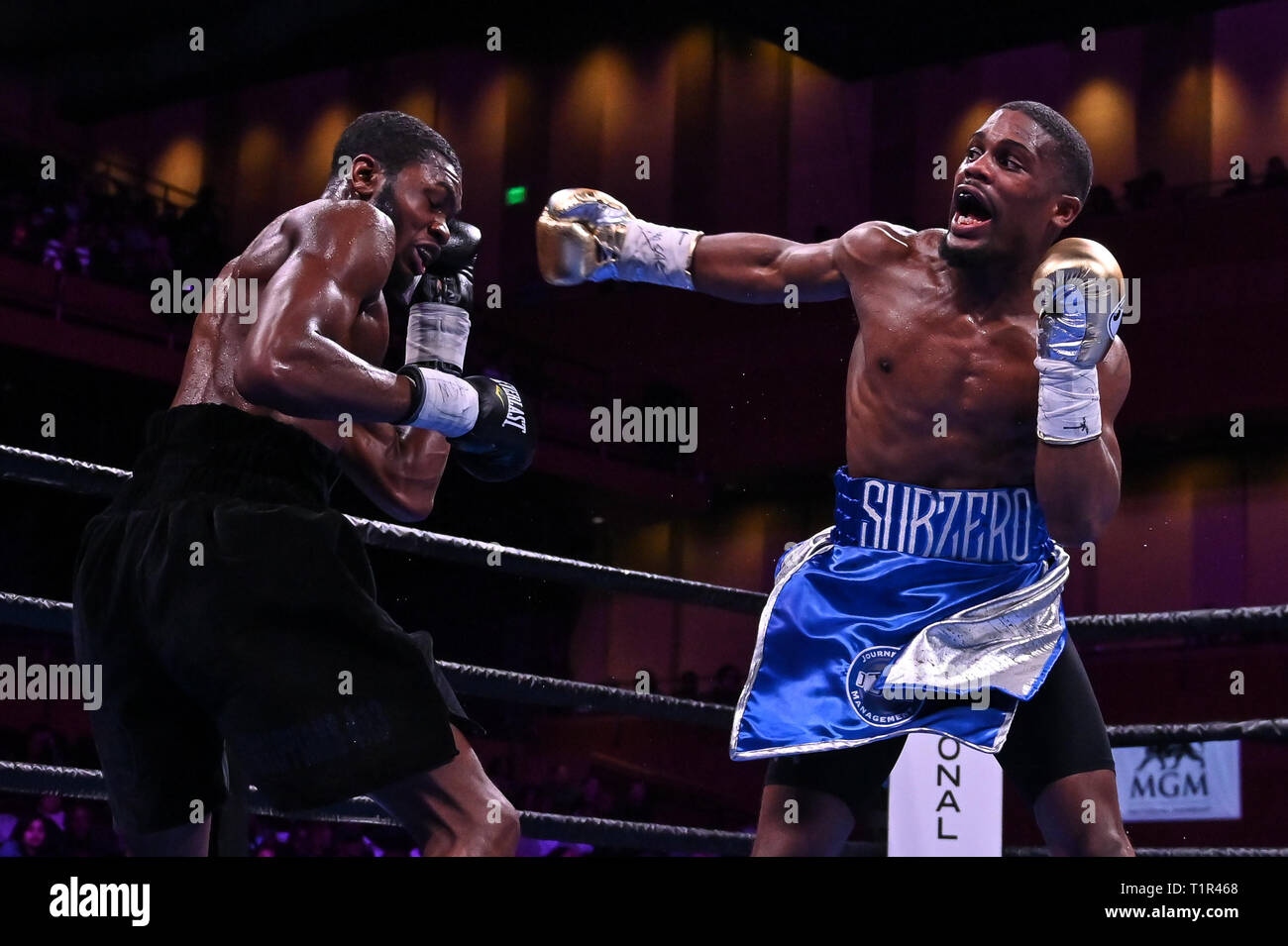 Oxon Hill, Maryland, USA. 24Th Mar, 2019. VERNON BROWN et JAMONTAY CLARK en action pendant le super mi-moyens correspondent à la RGM National Harbor à Oxon Hill, Maryland. Credit : Amy Sanderson/ZUMA/Alamy Fil Live News Banque D'Images