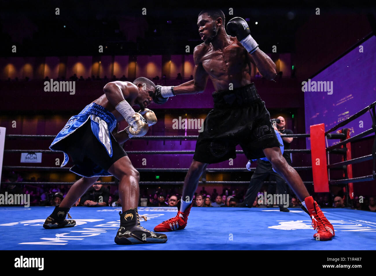 Oxon Hill, Maryland, USA. 24Th Mar, 2019. JAMONTAY CLARK poinçons VERNON BROWN pendant le super mi-moyens correspondent à la RGM National Harbor à Oxon Hill, Maryland. Credit : Amy Sanderson/ZUMA/Alamy Fil Live News Banque D'Images