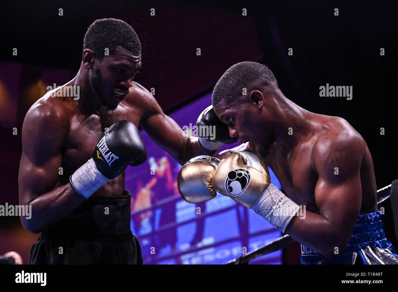 Oxon Hill, Maryland, USA. 24Th Mar, 2019. VERNON BROWN et JAMONTAY CLARK en action pendant le super mi-moyens correspondent à la RGM National Harbor à Oxon Hill, Maryland. Credit : Amy Sanderson/ZUMA/Alamy Fil Live News Banque D'Images