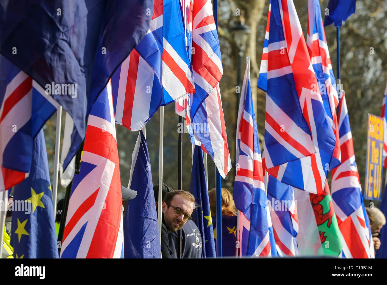 Westminster, London, UK. Mar 28, 2019. Un Brexit est vu_protestataires parmi nombre d'Union Jack et drapeaux de l'UE à l'extérieur du Parlement. Le Premier ministre britannique Theresa peut va chercher un troisième vote sur son Brexit traiter le vendredi 29 mars 2019. Credit : Dinendra Haria/Alamy Live News Banque D'Images