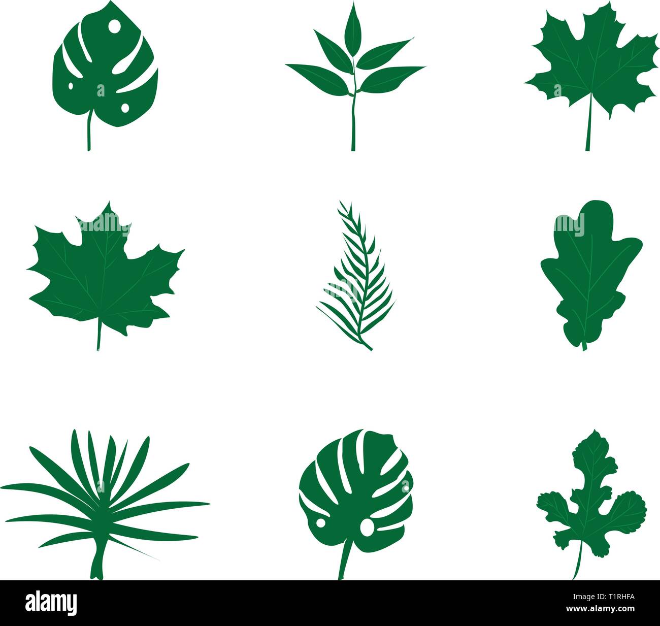 Ensemble de feuilles vert isolé sur fond blanc. Style plat Illustration de Vecteur