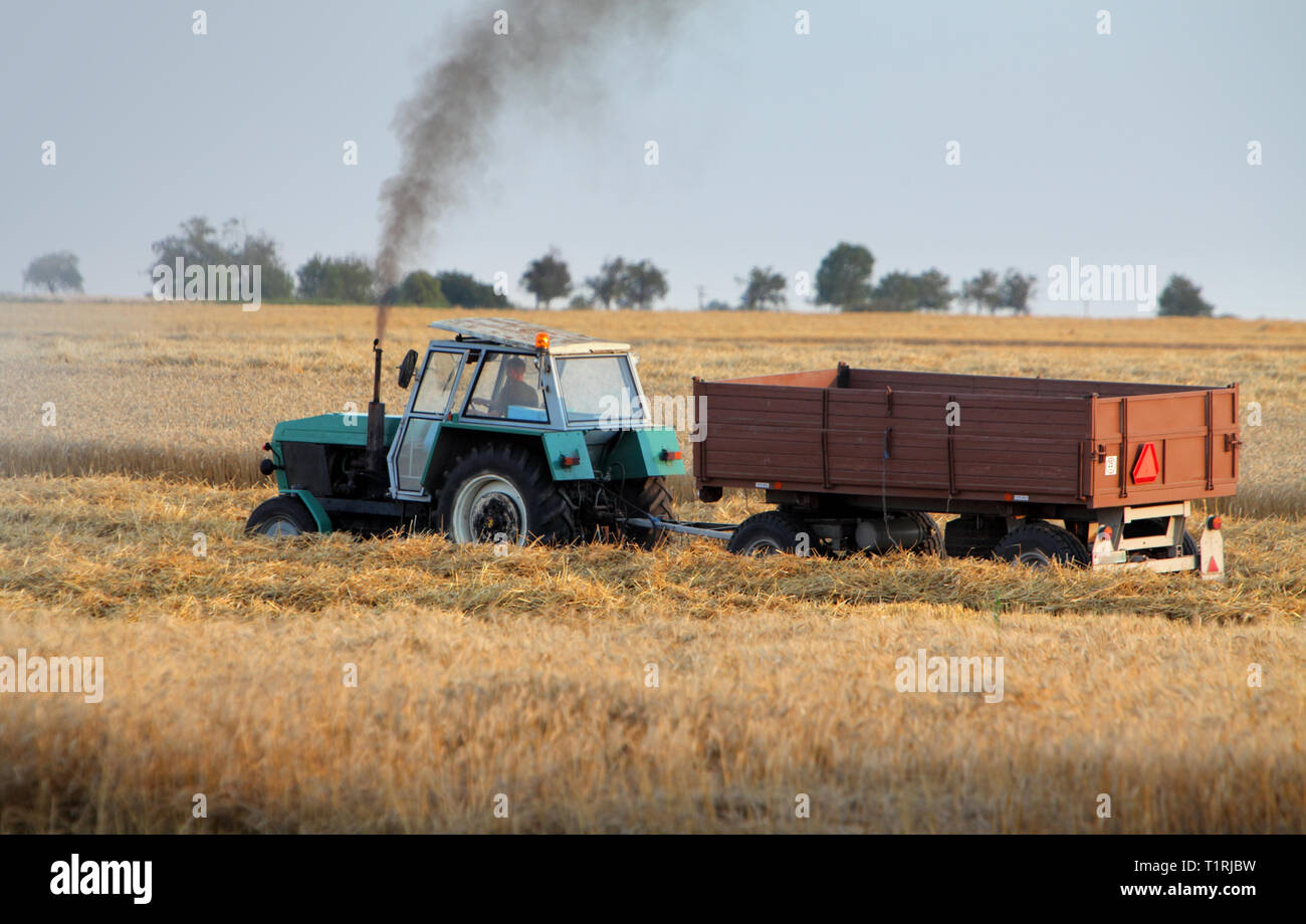 Le tracteur sur champ de blé Banque D'Images