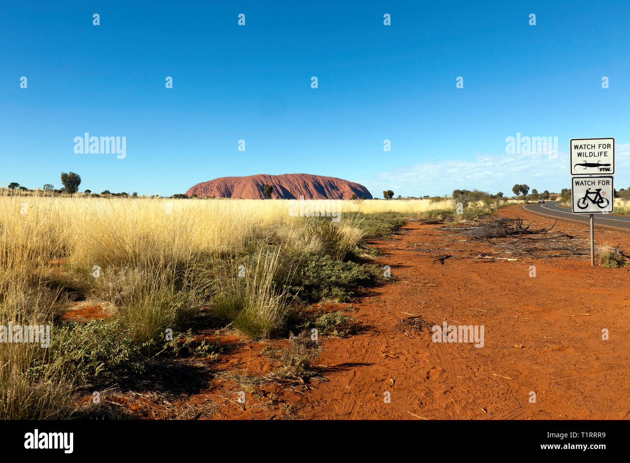 Grand angle de vue d'Uluru, comme vu de l'intérieur de l'Uluru-Kata Tjuta National Park, Territoire du Nord, Australie Banque D'Images