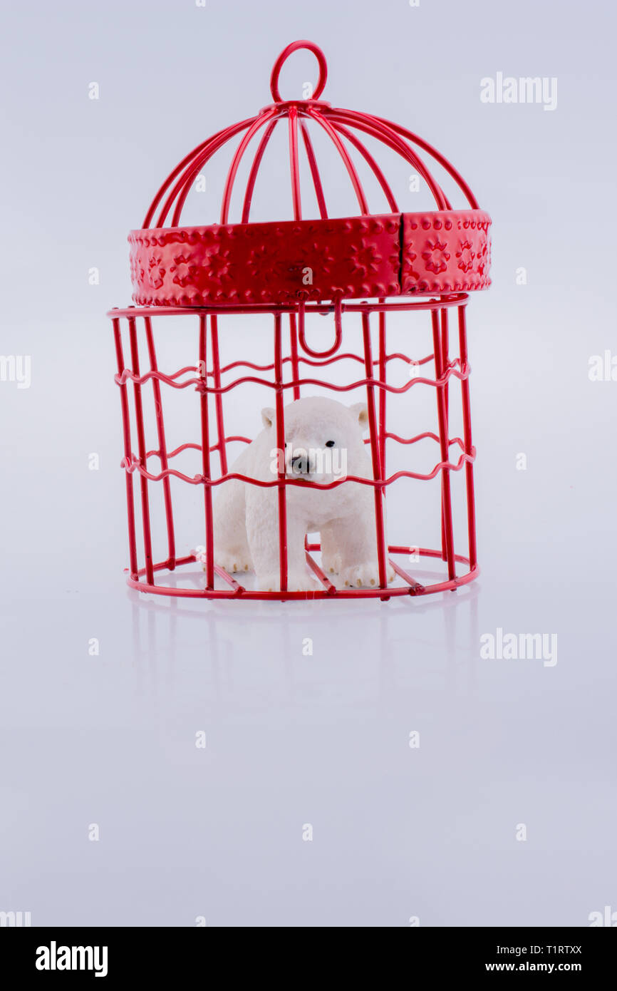 L'ours en cage captif sur fond blanc Banque D'Images