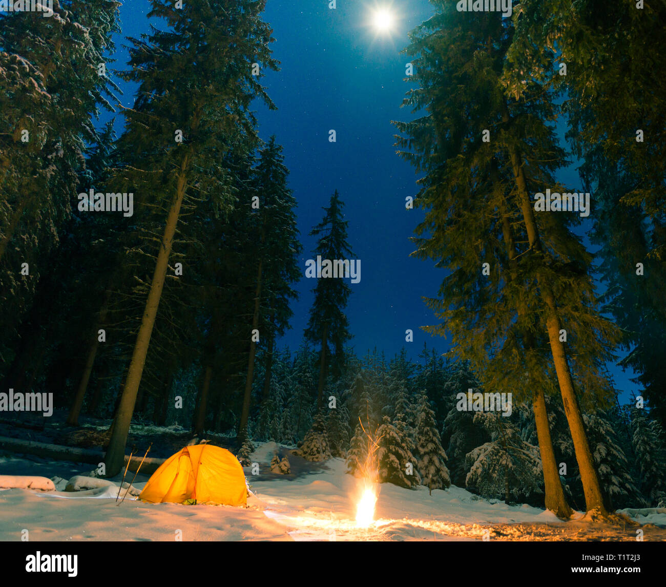 Camping d'hiver avec feu la nuit Banque D'Images