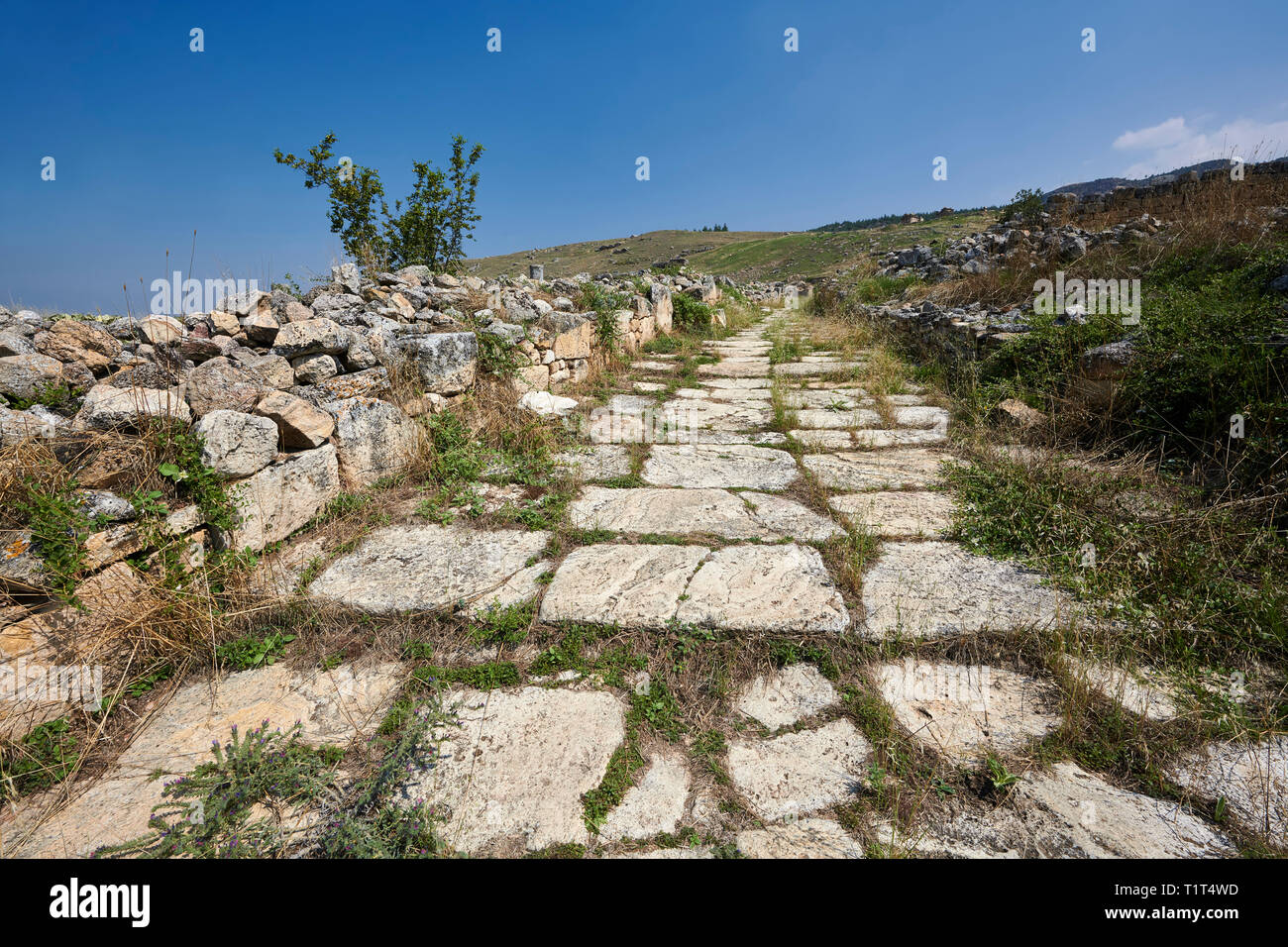 Photo de Saint Philippe Gate Road. Site archéologique de Hierapolis près de Pamukkale en Turquie. Banque D'Images