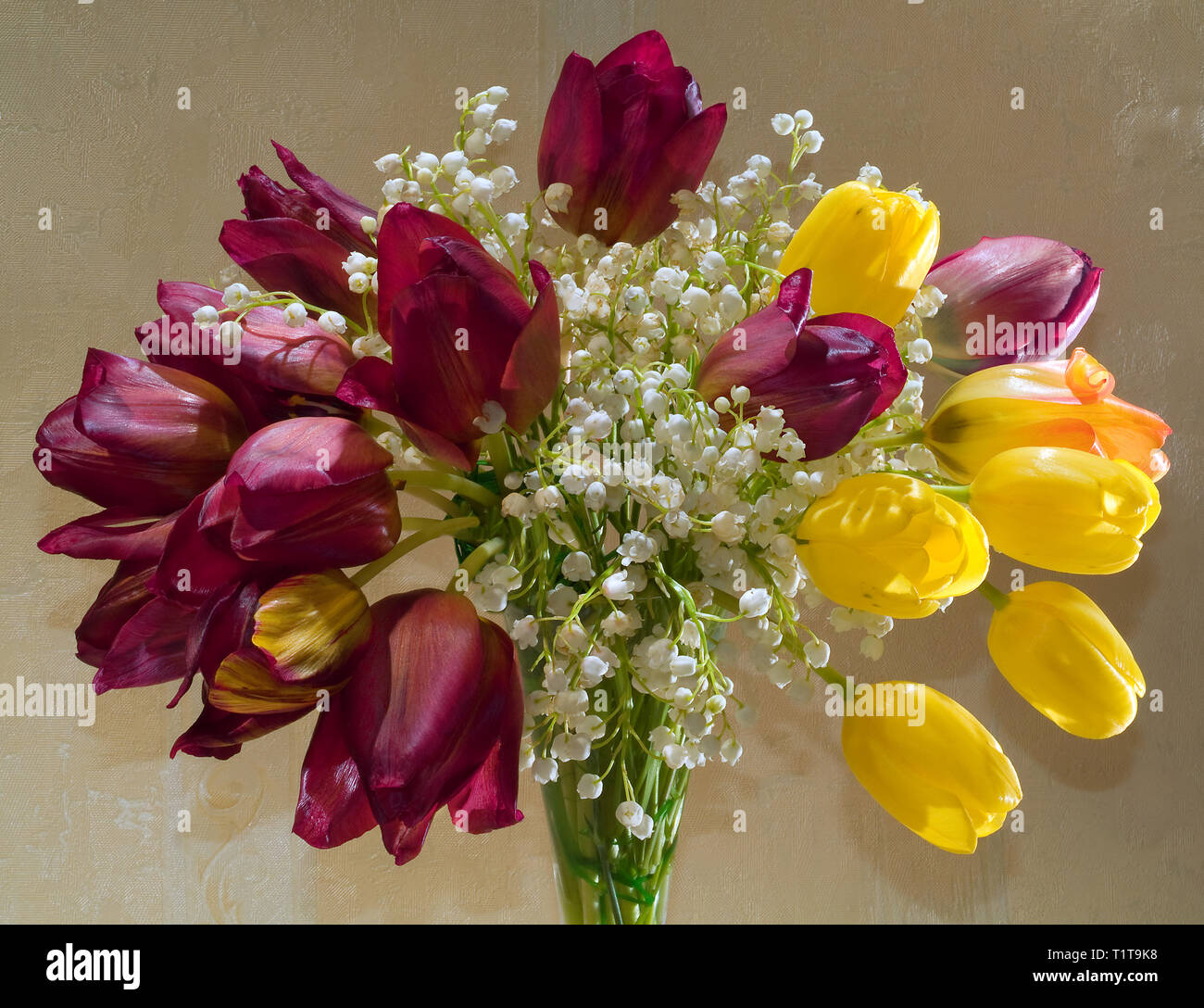 Bouquet de fleurs de claret et de tulipes jaunes et de lys de la vallée sur un fond beige. format horizontal. Banque D'Images