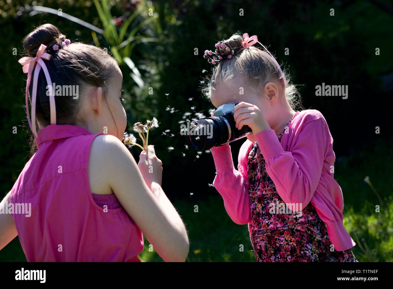 Enfant en utilisant une caméra pour prendre une photo d'un autre enfant blowing dandelion seeds dans un jardin Banque D'Images