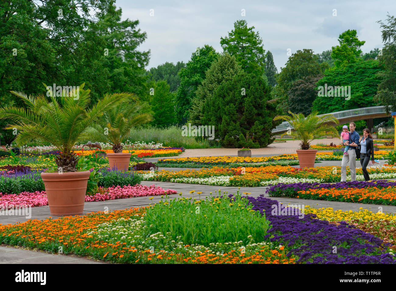 Rheinpark, Koeln, Nordrhein-Westfalen, Deutschland Banque D'Images