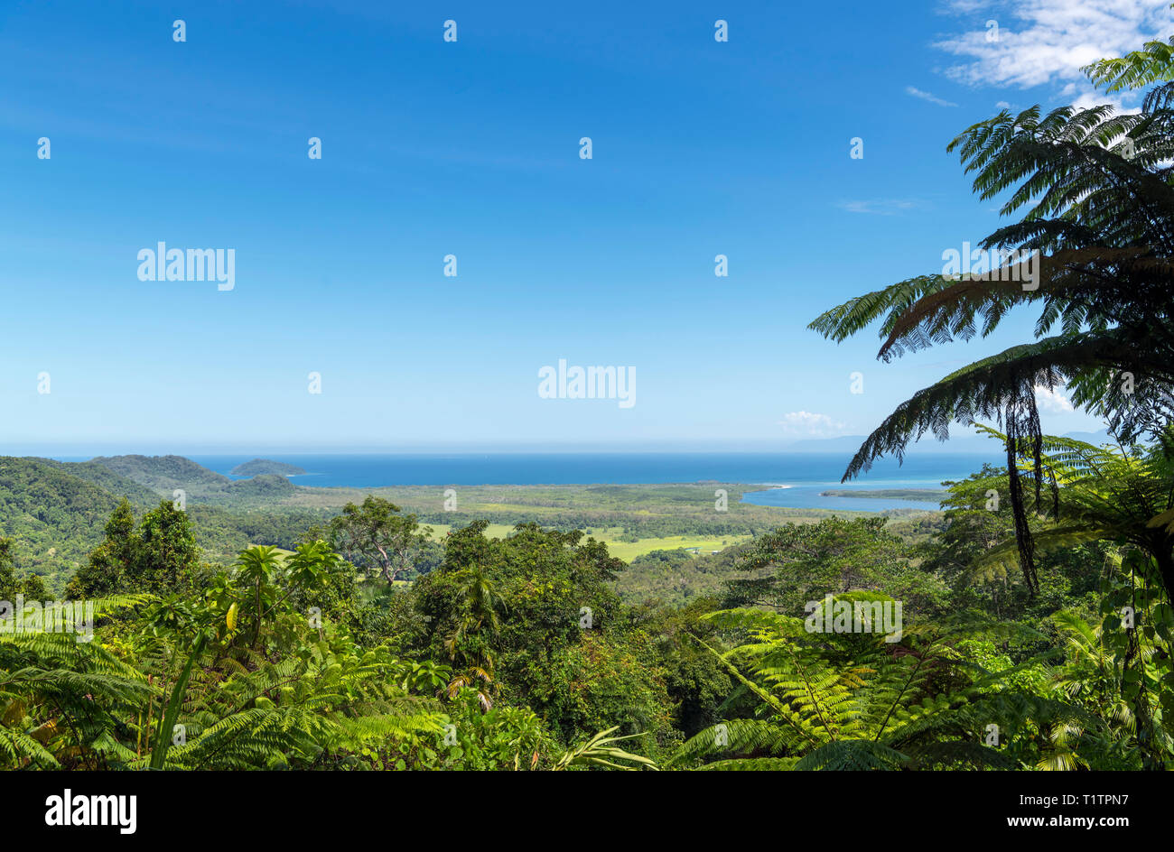 Daintree, Queensland. Vue depuis le mont Alexandra Lookout (Walu Wugirriga), la forêt tropicale de Daintree, parc national de Daintree, Far North Queensland, Australie Banque D'Images