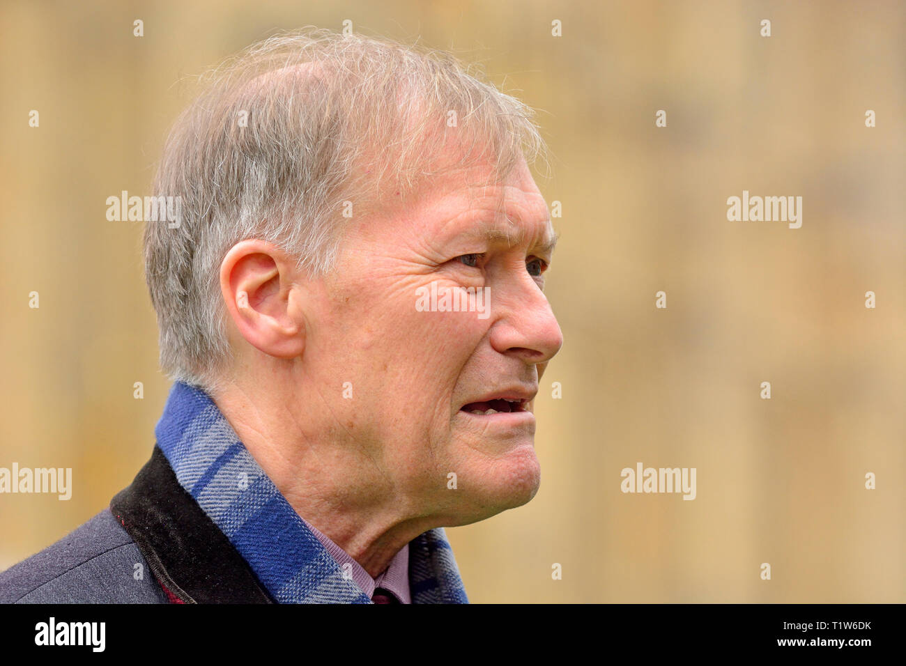 Sir David Amess député (Con : Ouest Southend) interviewé sur Brexit sur College Green, Westminster, 27 mars 2019 Banque D'Images
