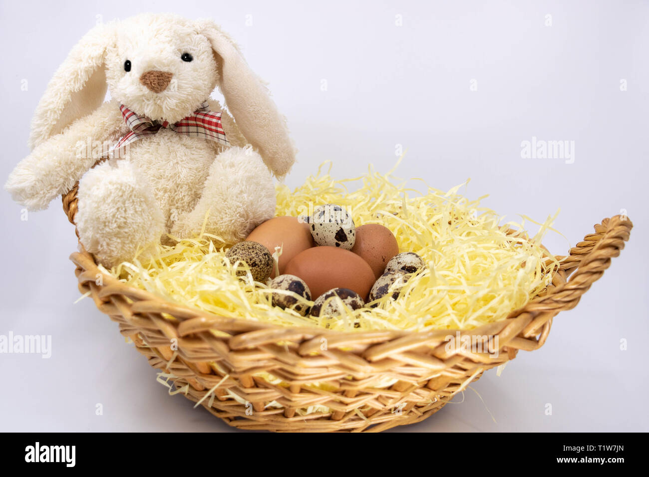 Lapin de Pâques et son panier d'oeufs de ferme (cailles et oeufs de poule) Banque D'Images
