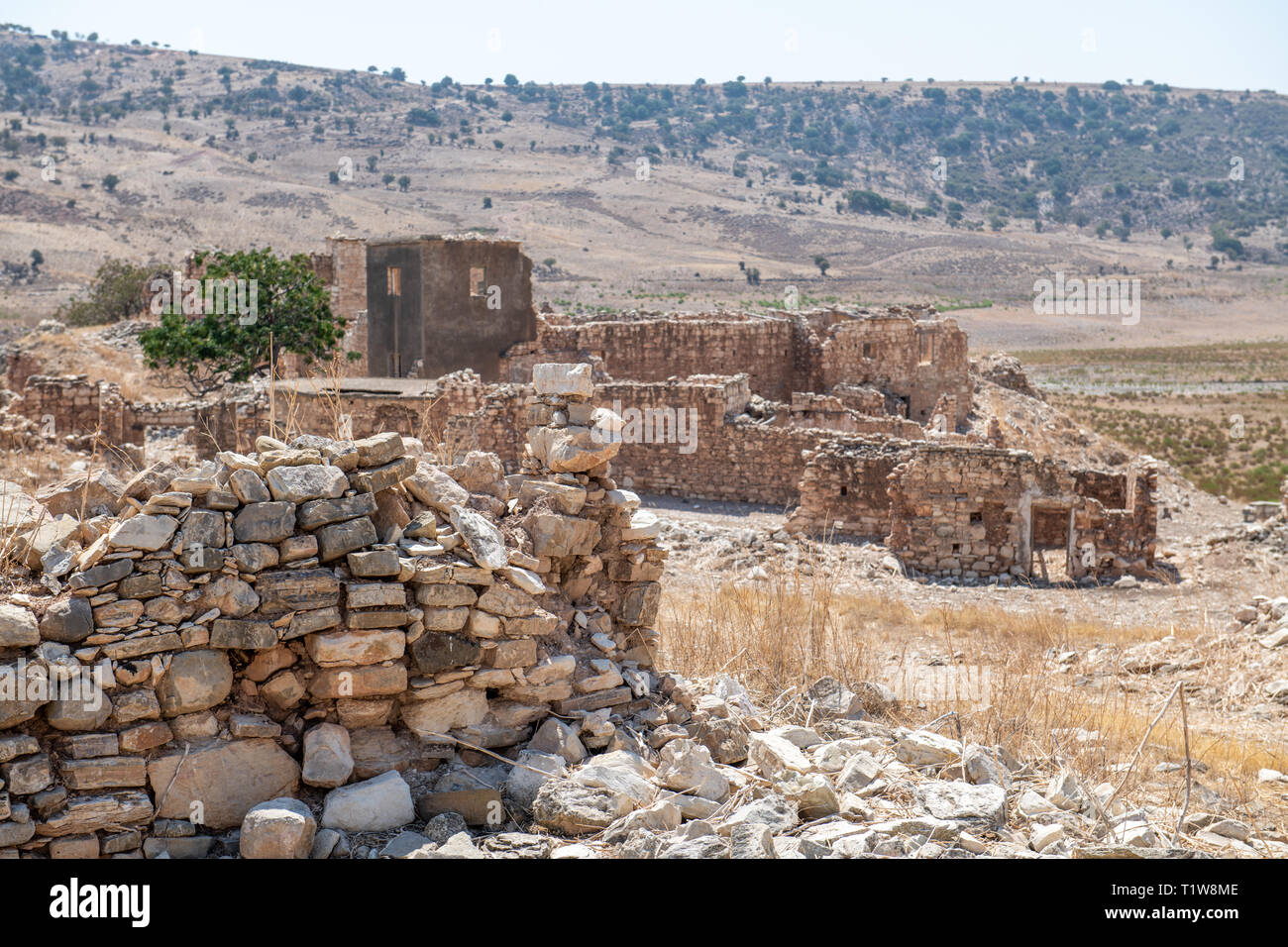 Phinikas est un village dans le district de Paphos. Il a été évacué après l'invasion turque de Chypre en 1974 Banque D'Images