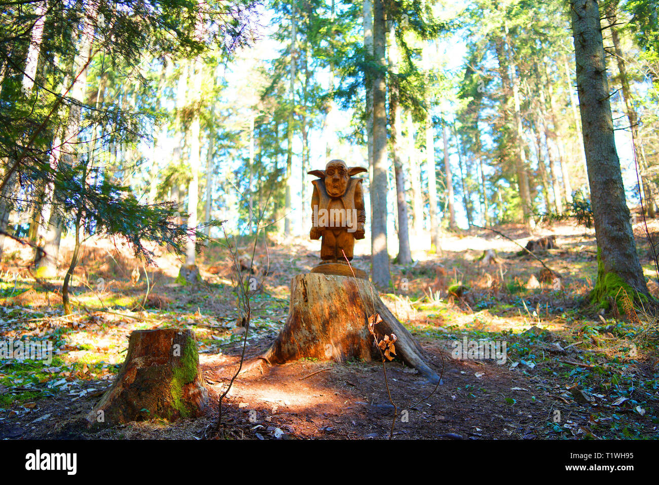 Nain mythique en bois est le gardien de la forêt. Banque D'Images