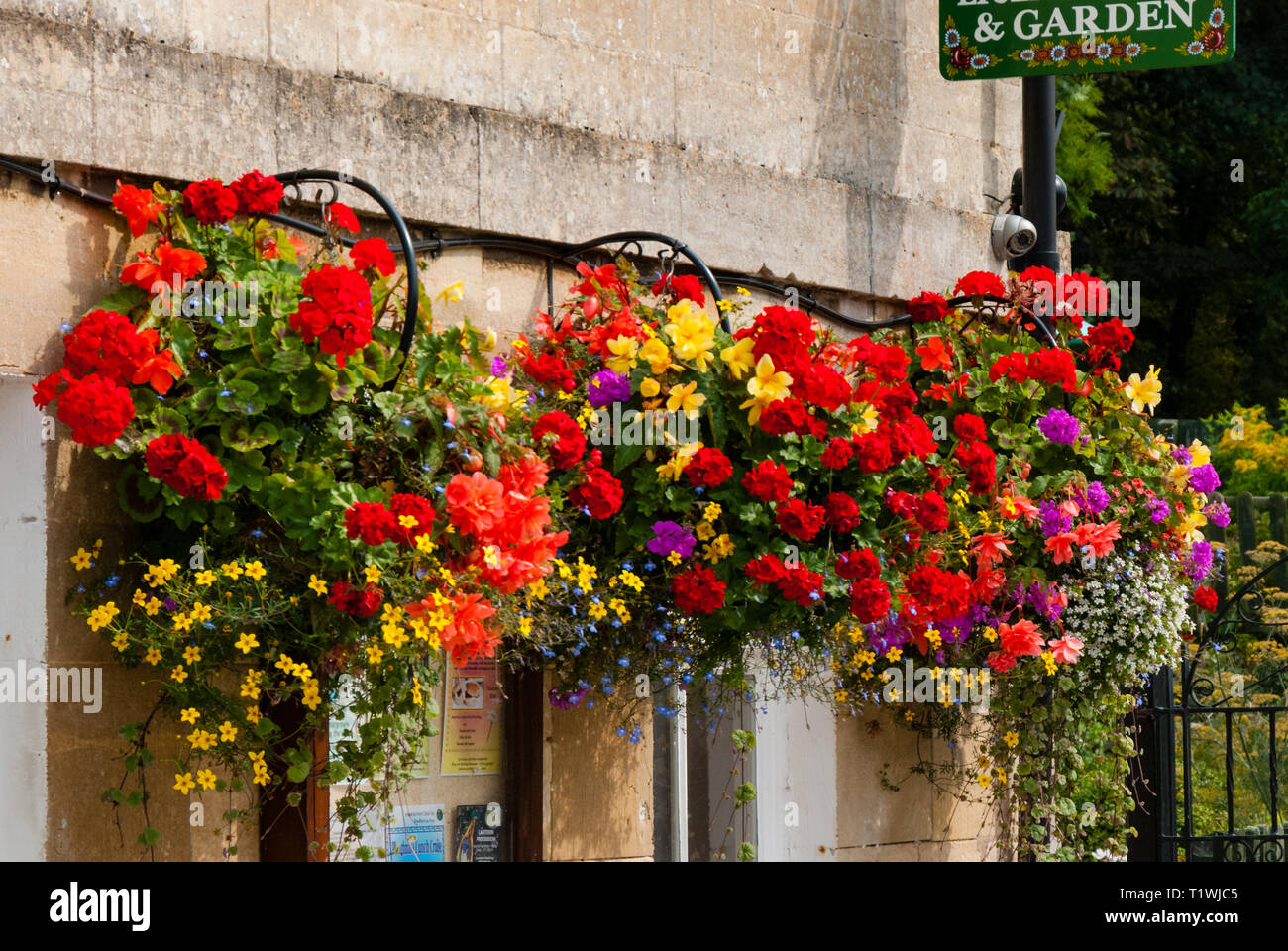 Fleurs suspendues à Bradford on Avon England UK Banque D'Images