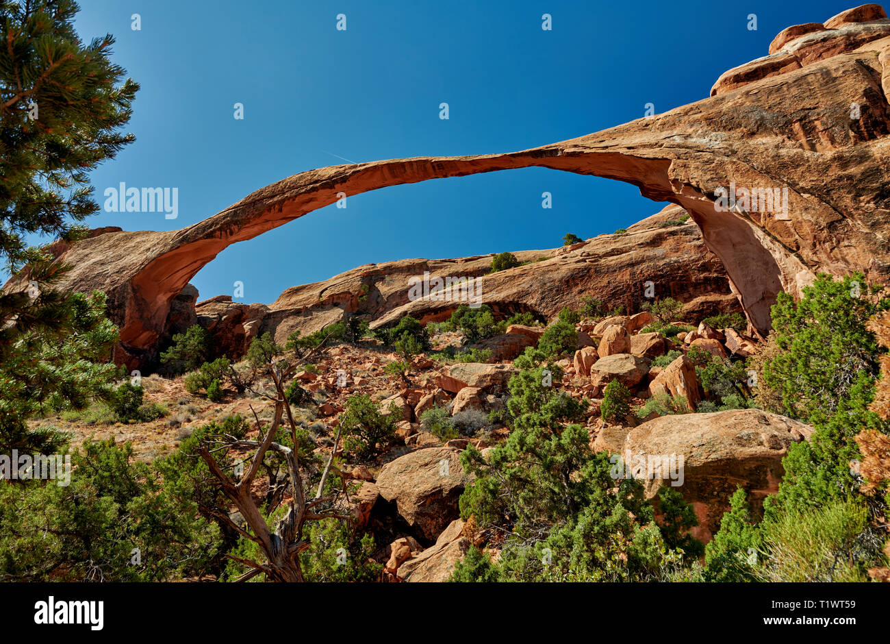 Landscape Arch dans Arches National Park, Moab, Utah, USA, Amérique du Nord Banque D'Images