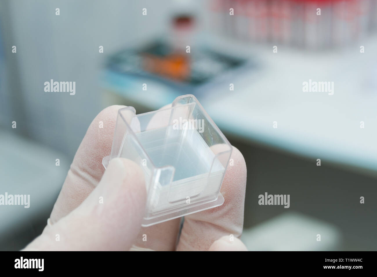 Travailleur de laboratoire tenant à la main une boîte en plastique avec des cils microscopiques Banque D'Images