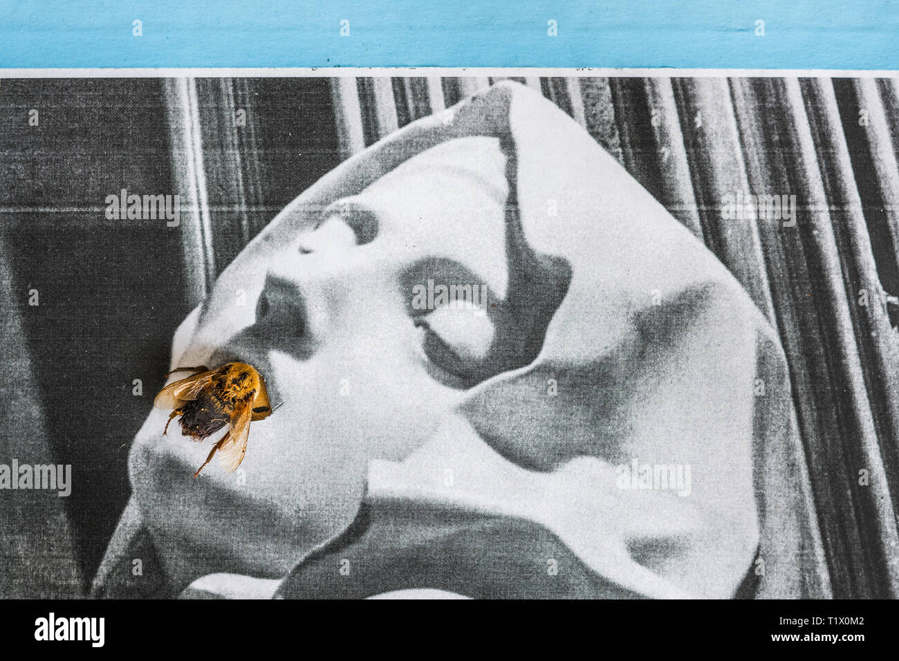 Photocopie détail de l'Extase de Sainte Thérèse avec des peintres et des bandes une abeille sur la bouche Banque D'Images