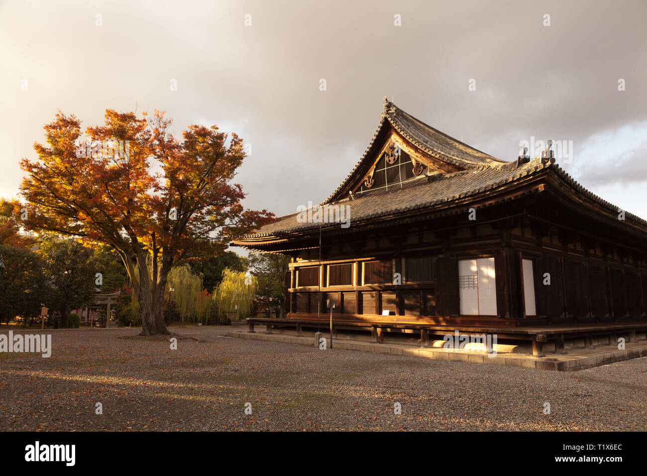 Coucher du soleil d'automne hits la salle de 33 places, Sanjusangen-do est un temple bouddhiste datant de 1266 et célèbre pour sa longue hona, ou hall principal. Banque D'Images