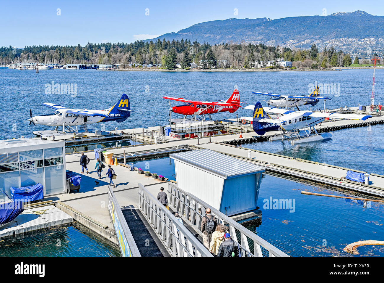 Harbour Air hydroaérodrome, Coal Harbour, Vancouver, British Columbia, Canada Banque D'Images