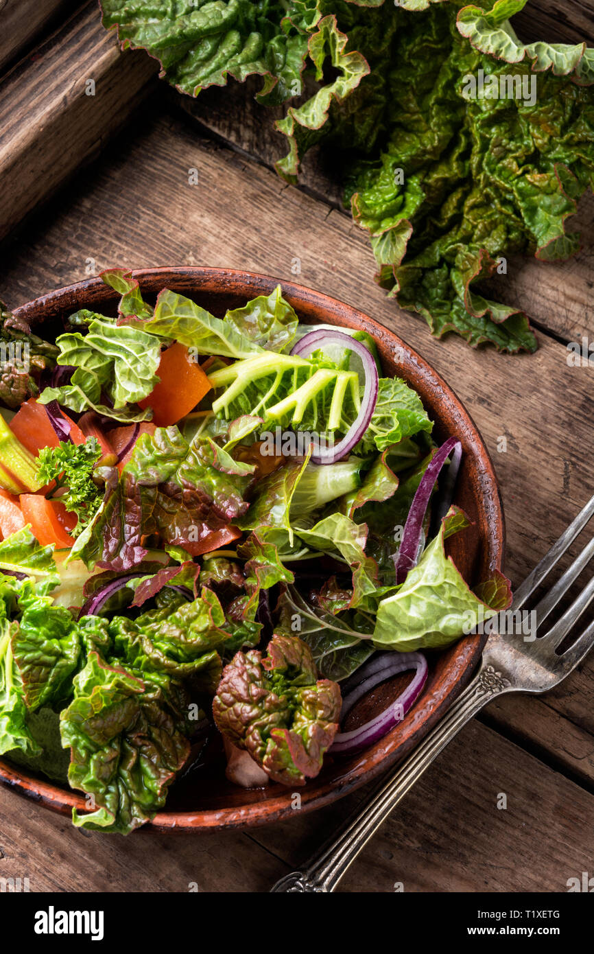 Salade mesclun avec plaque.salade de rhubarbe végétarien salade de printemps. Banque D'Images