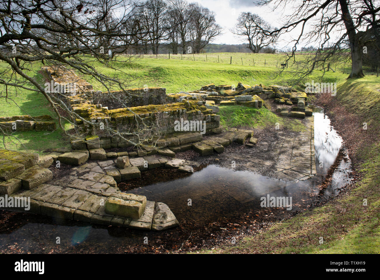 Vestiges de pont sur le mur d'Hadrien, à côté du Fort Chesters Banque D'Images