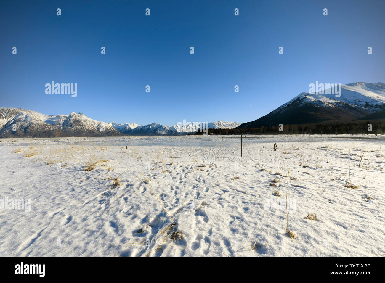 Chugach Turnagain Arm et vont de l'espoir, de l'Alaska Banque D'Images