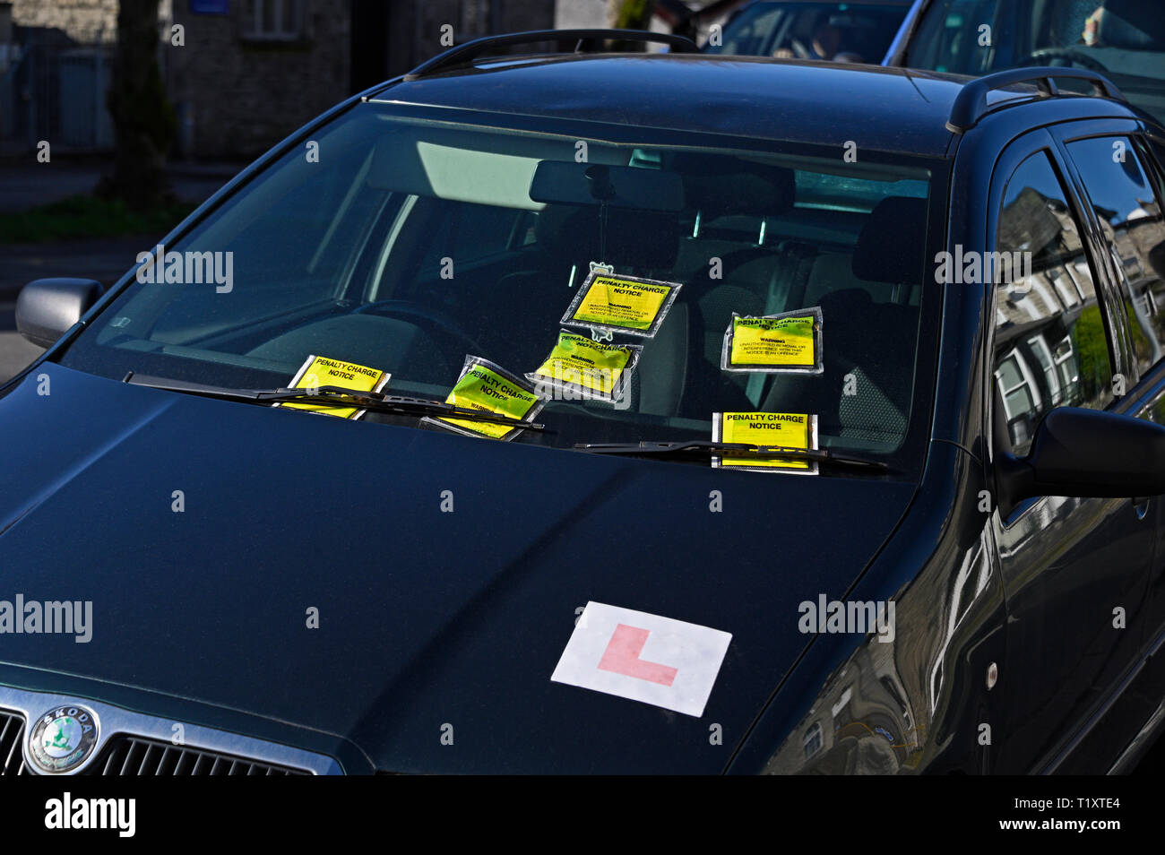 Détail de voiture en stationnement illégal sur double-lignes jaunes avec six avis de pénalité. Parkside Road, Kendal, Cumbria, Angleterre, Royaume-Uni, Europe Banque D'Images
