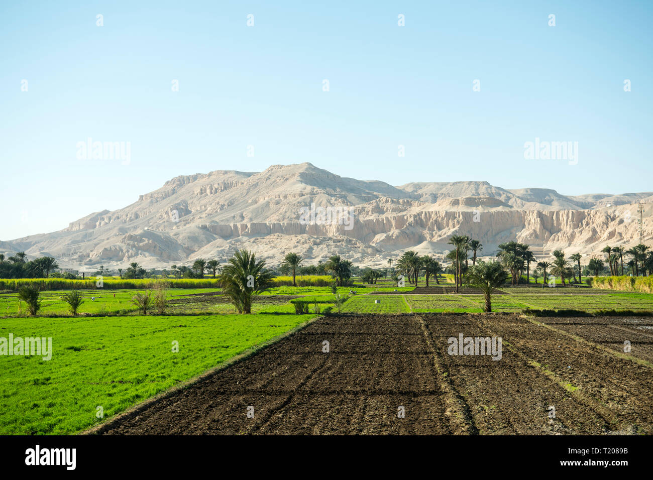Egypte, Louxor, Theben-West, Banque D'Images