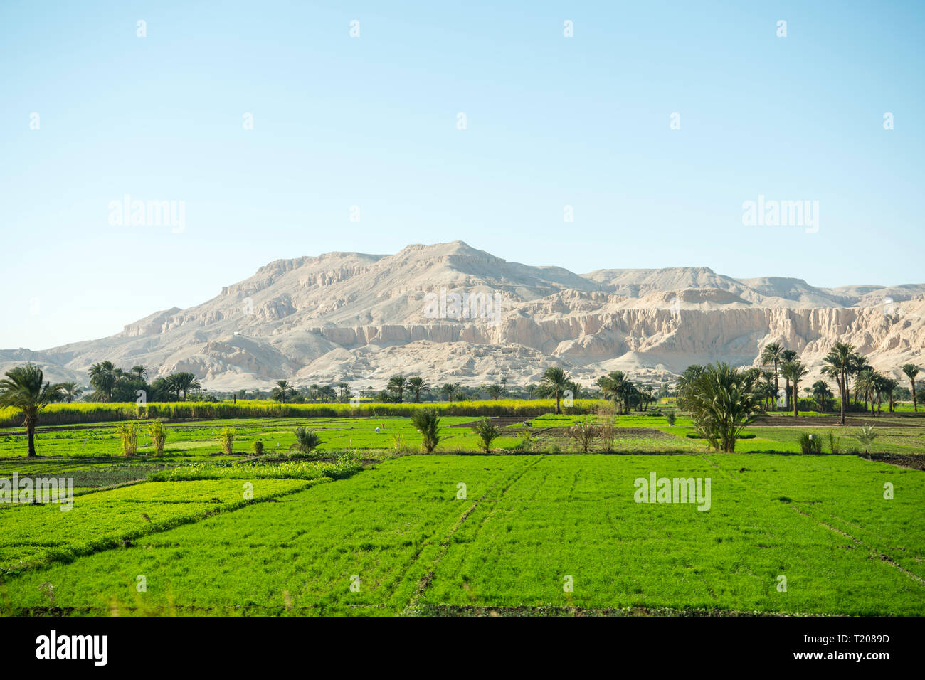 Egypte, Louxor, Theben-West, Banque D'Images