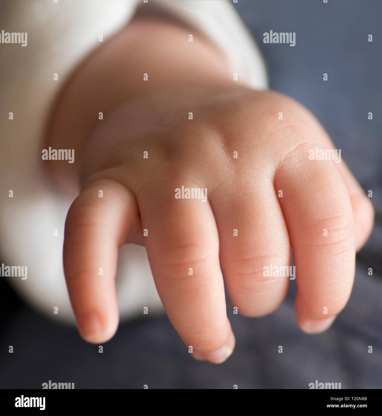La main de bébé Banque D'Images