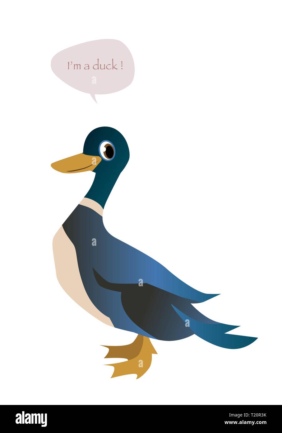 Canard mignon isolé sur fond blanc et de bulle. Vector Illustration Illustration de Vecteur
