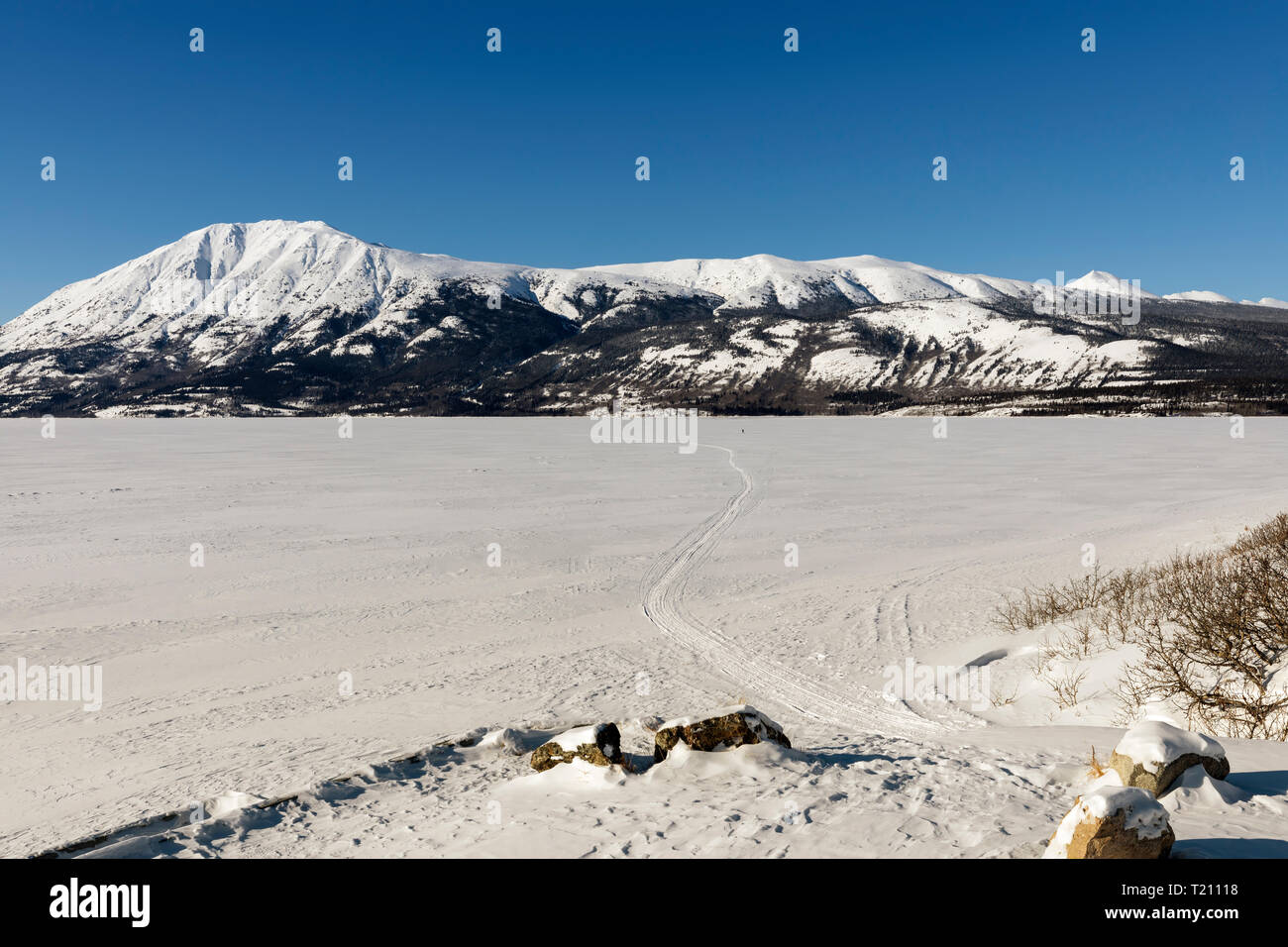 Le Lac Bennett, Carcross (Yukon) Banque D'Images