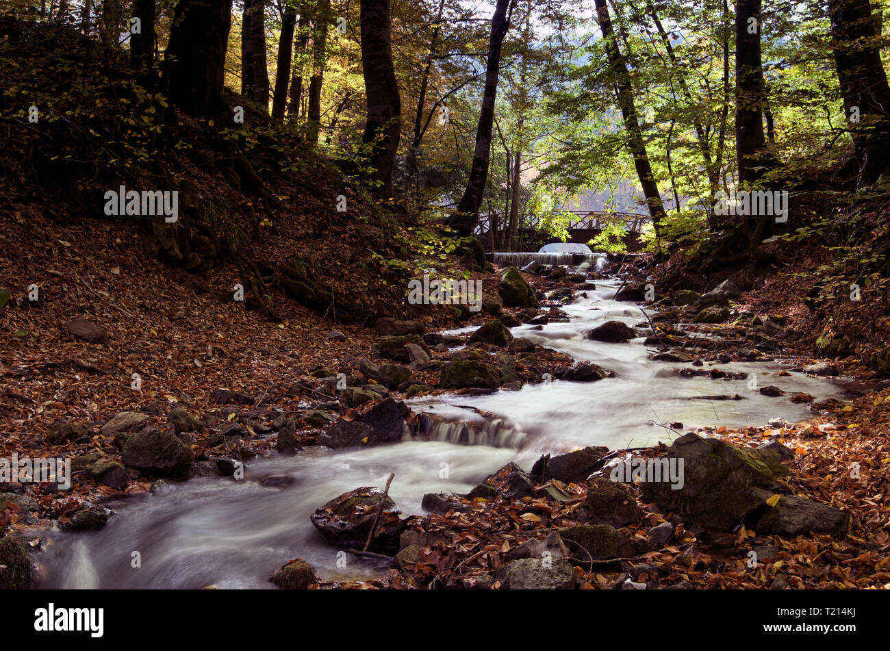 L'automne à Yedigöller National park Banque D'Images