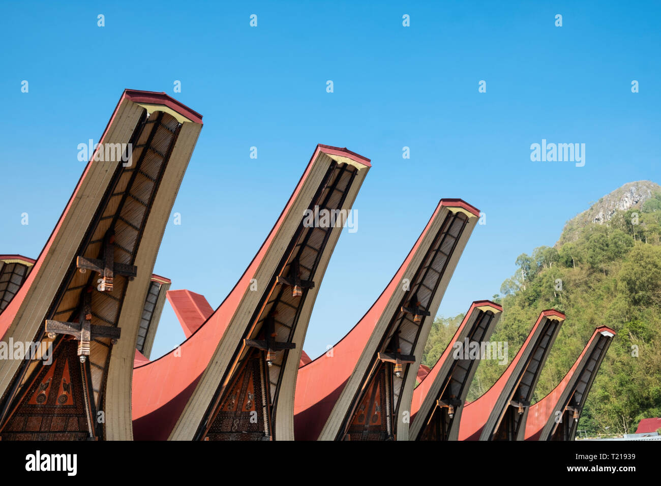 Maison Tongokan traditionnels toits de Tana Toraja, Sulawesi, Indonésie Banque D'Images