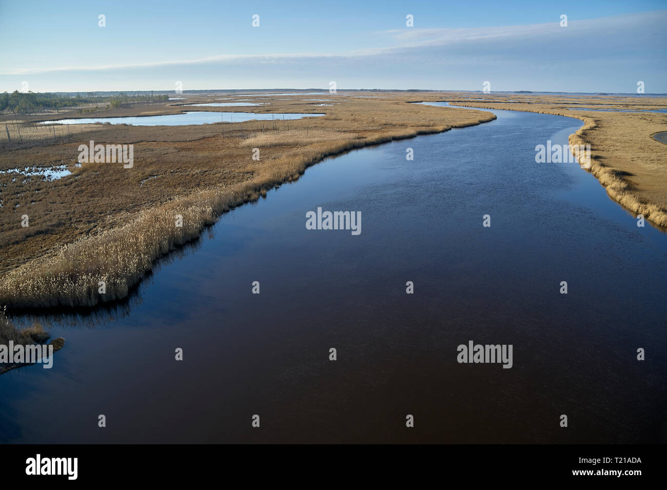 USA, Maryland, Cambridge, Blackwater National Wildlife Refuge, Blackwater River, Blackwater Refuge connaît une hausse du niveau de la mer qu'est l'inondation thi Banque D'Images