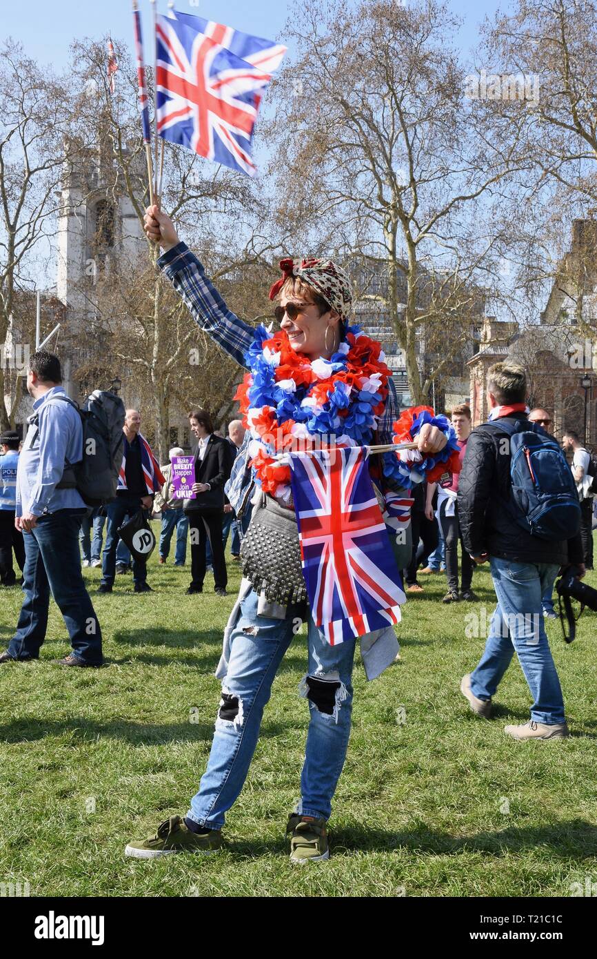 29 Mar 2019. À partir de mars, les manifestants se sont réunis à la place du Parlement le jour que le Royaume-Uni était à l'origine en raison de quitter l'Union européenne, les Maisons du Parlement, Westminster, Londres. UK Crédit : michael melia/Alamy Live News Banque D'Images