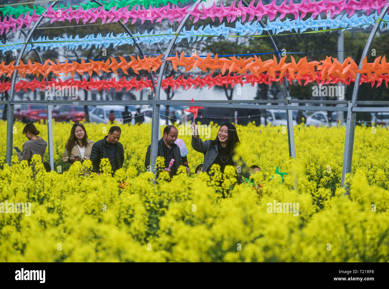 Hangzhou, Chine, Province de Zhejiang. 30Th Mar, 2019. Personnes visitent cole champs de fleurs à un endroit pittoresque écologique dans la région de Hangzhou, Zhejiang Province de Chine orientale, le 30 mars 2019. Une fleur cole tourisme festival a fêté ici le samedi. Credit : Xu Yu/Xinhua/Alamy Live News Banque D'Images