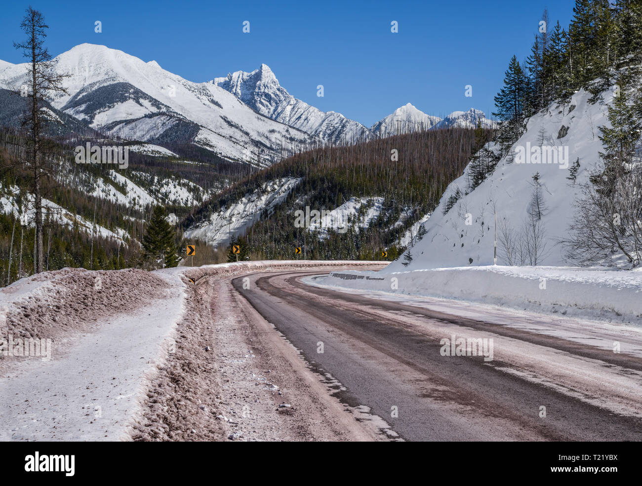 Scenic Route d'hiver dans le Montana : une montagne enneigée route serpente à travers une partie du parc national des Glaciers, qui reste ouvert toute l'année. Banque D'Images