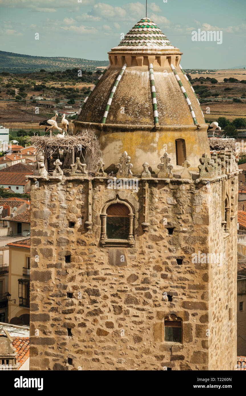 Nid de cigognes sur le dessus de la tour gothique avec coupole et du paysage rural à Trujillo. Ville de naissance du conquistador Francisco Pizarro en Espagne. Banque D'Images