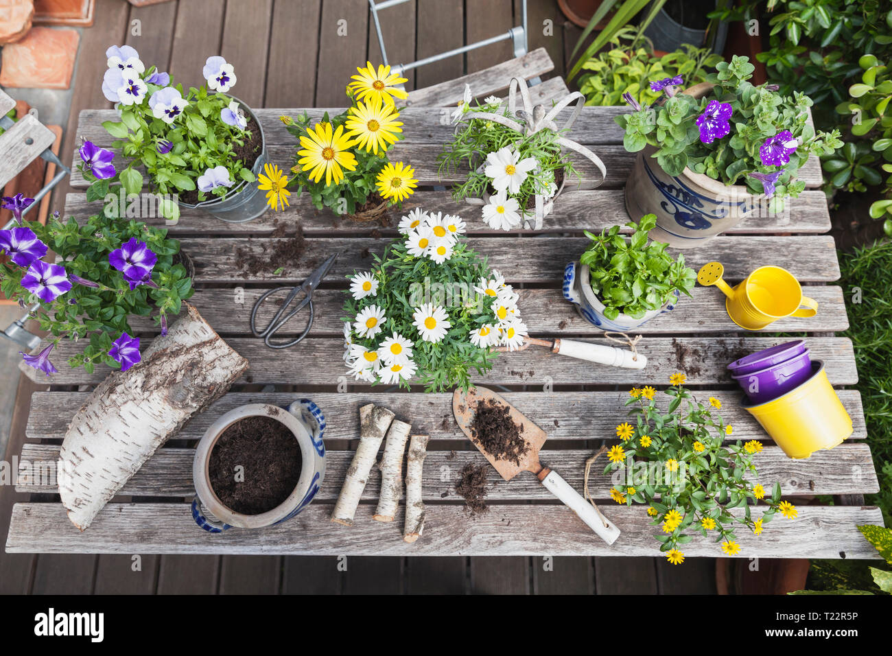 Différents outils de jardinage et de fleurs d'été sur table de jardin Banque D'Images