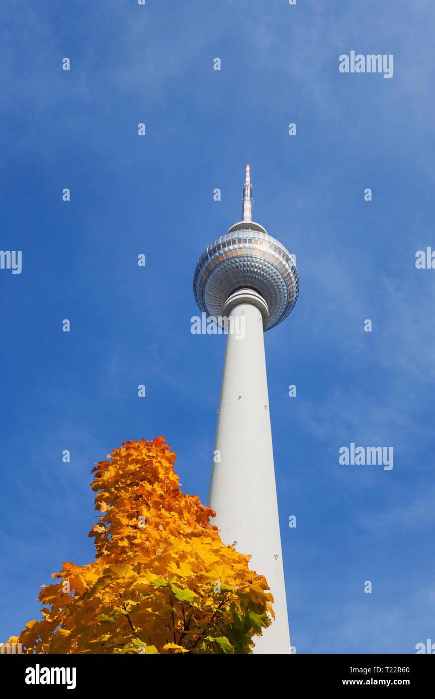 Allemagne, Berlin, tour de la télévision à l'automne Banque D'Images